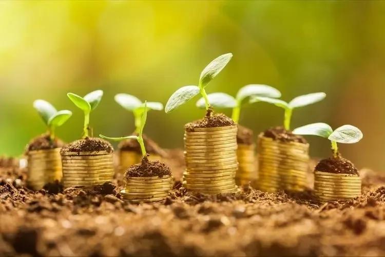 富足一生通江,富足一生服务