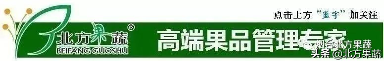 北方果蔬——日韩系梨花前用药安排