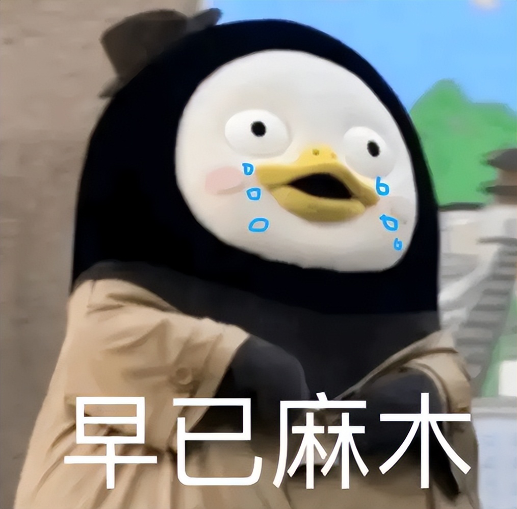 先亲嘴再谈恋爱韩综,先睡后恋爱电视剧剪辑