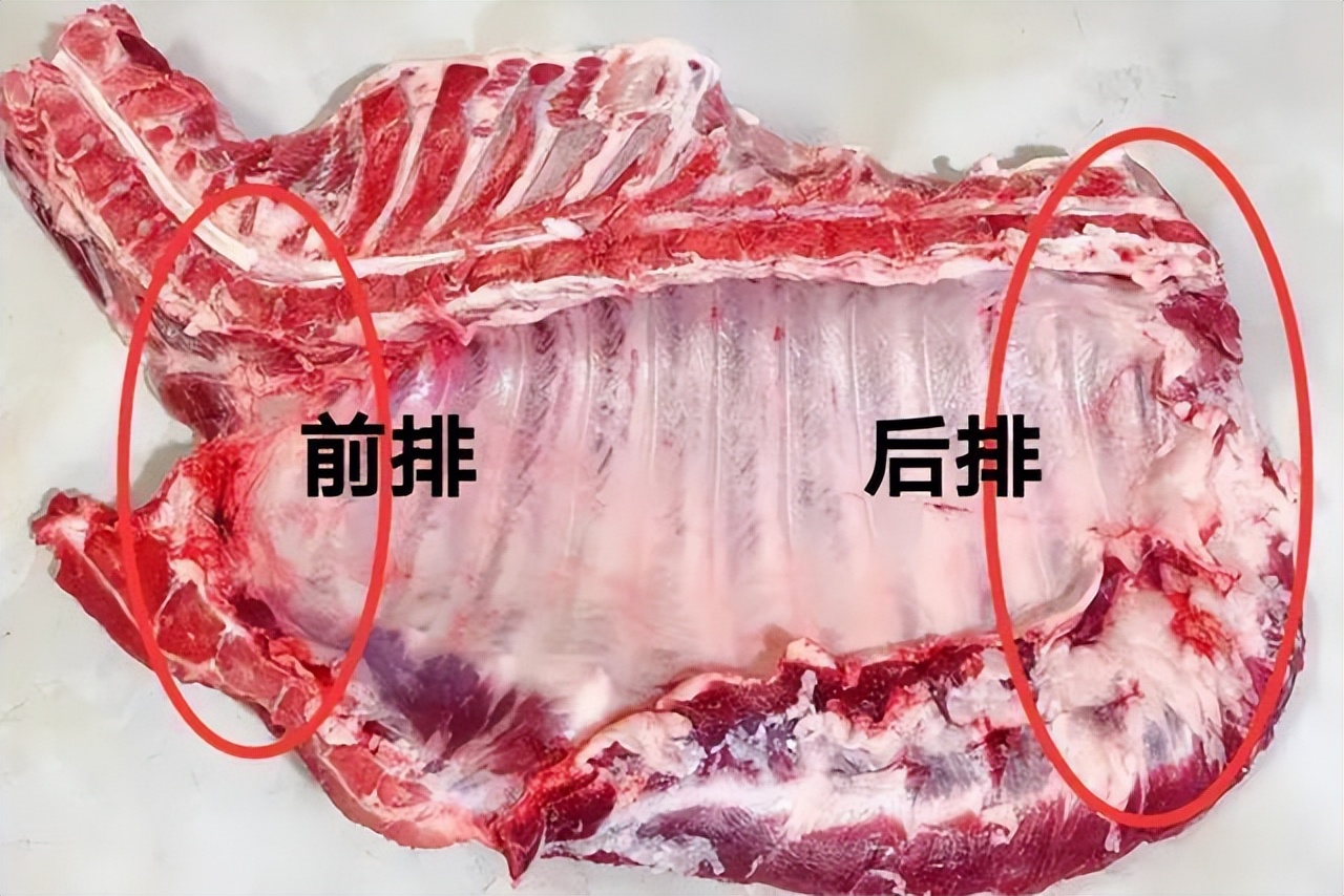 排骨买前排还是后排营养好,排骨分清前排后排脆骨差别很大