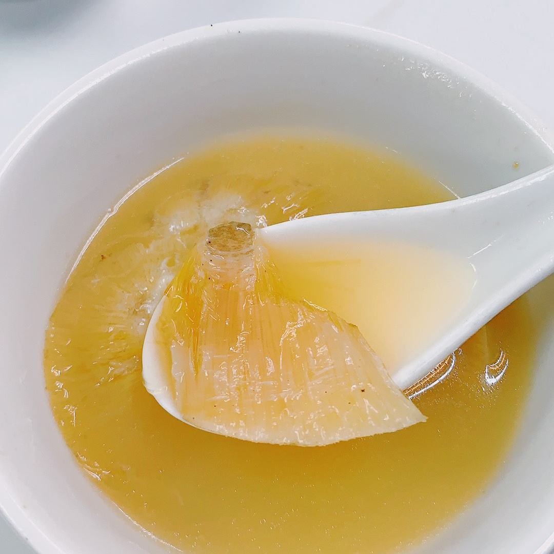 割掉鱼翅的鲨鱼放进海里,割掉鱼翅的鲨鱼搁在水里还能活吗