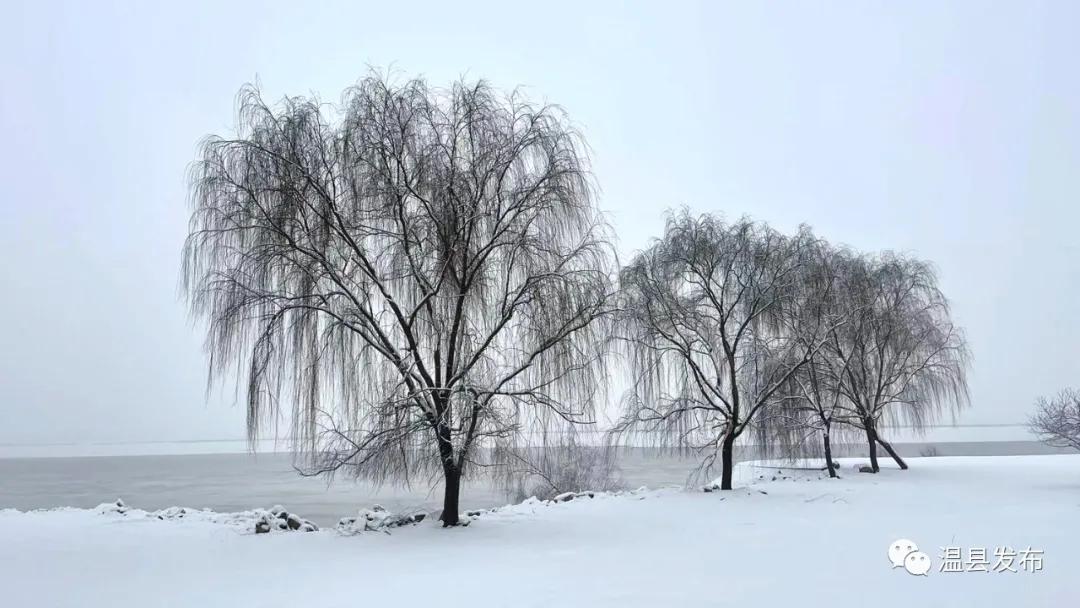 来这里邂逅一场落日余晖的浪漫,来这里邂逅柳州春天里的浪漫