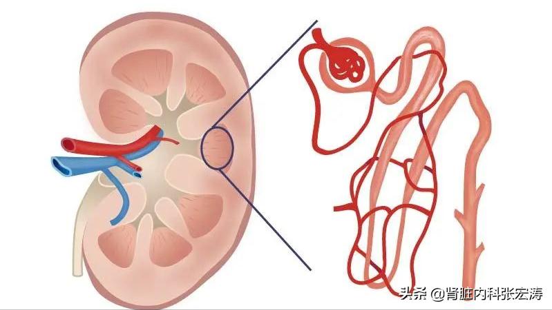 增强ct用造影剂对肾脏影响有多大,增强血管ct检查对人有伤害吗