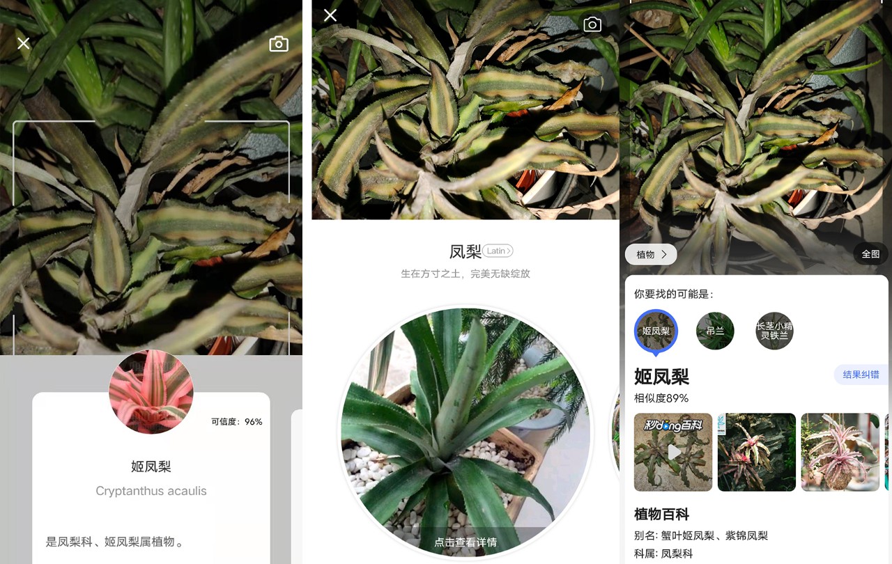 养花好物神器,花友必备神器