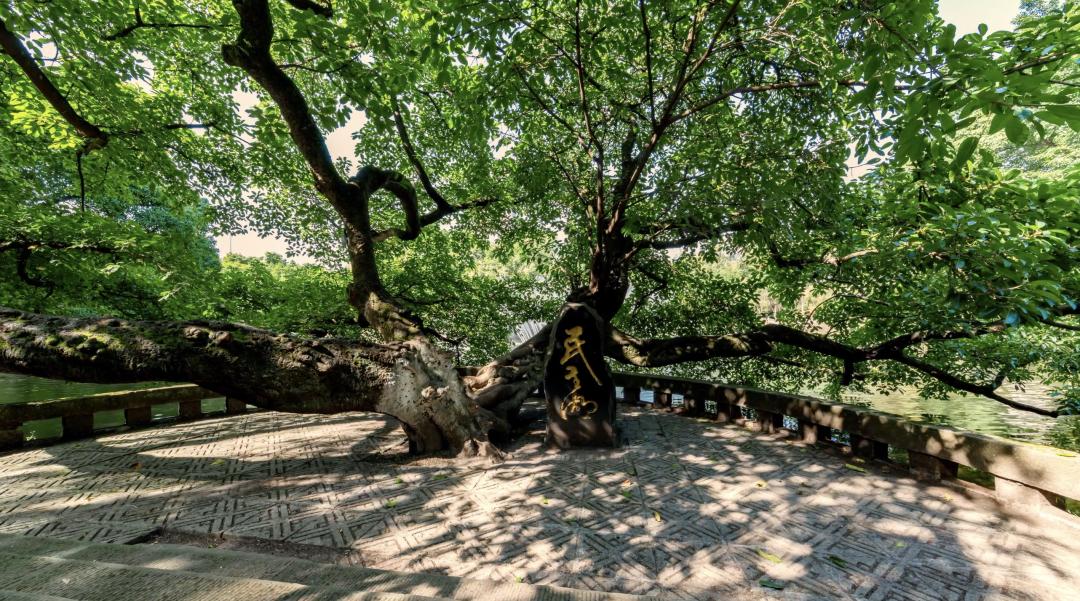 高考顺利！欢迎你来重庆，续写与重大的未来故事