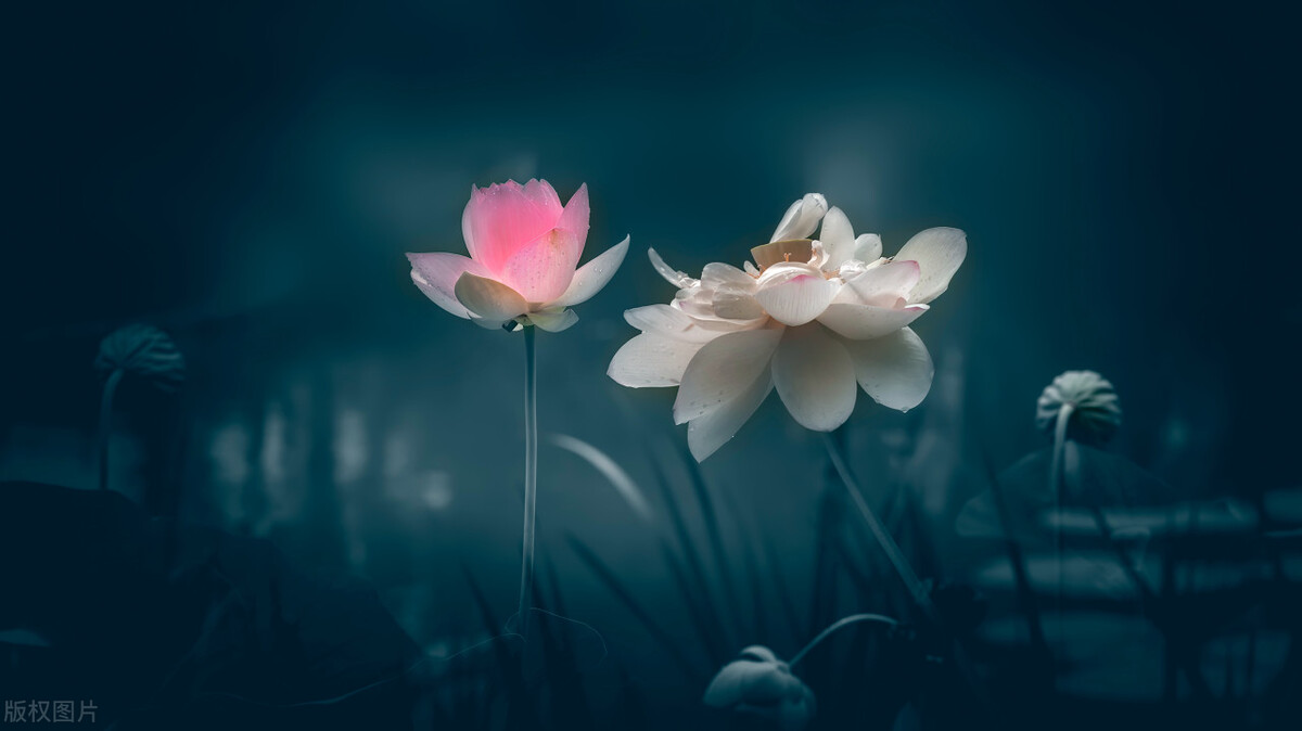 父母逼着自己信佛怎么办,信佛父母强烈反对