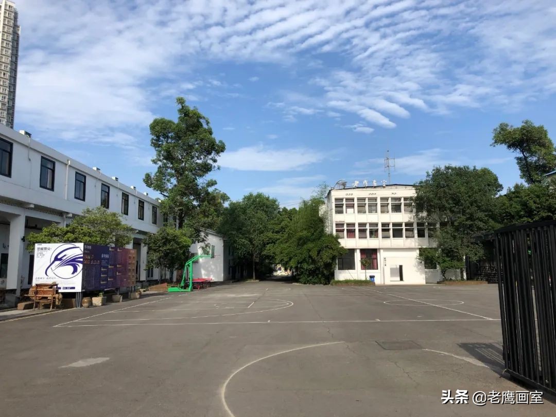 老鹰画室精品班和进阶班,成都老鹰画室和成都艺考画室