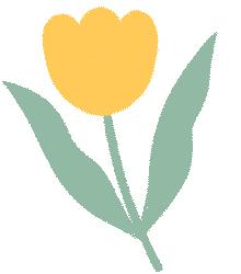 深圳旅游全攻略宝安,宝安旅游线路推荐