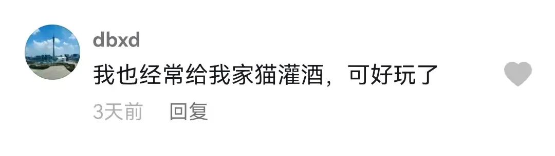 千万不要给猫吃的食物,这7种食物不要给猫吃