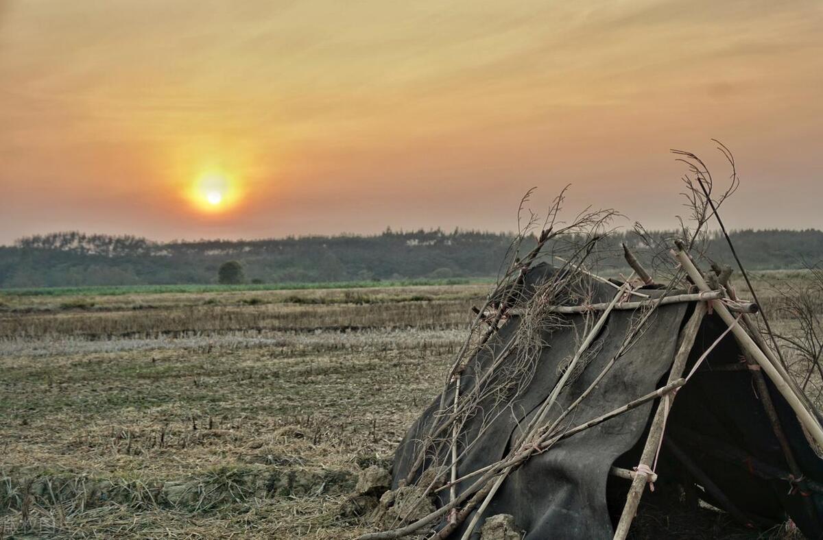 值得推荐八本诗词书,最值得读的书推荐
