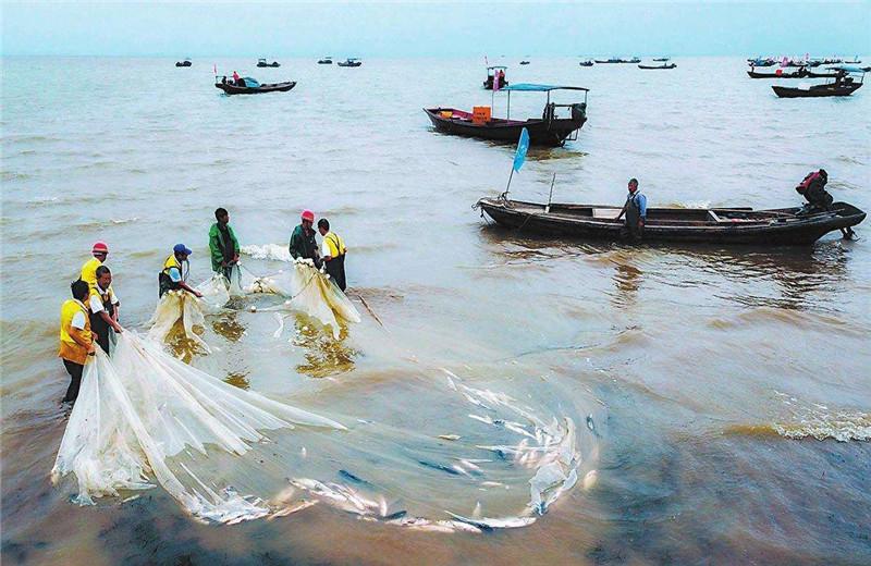 三峡水坝大鱼横行,三峡区出现大量水老虎