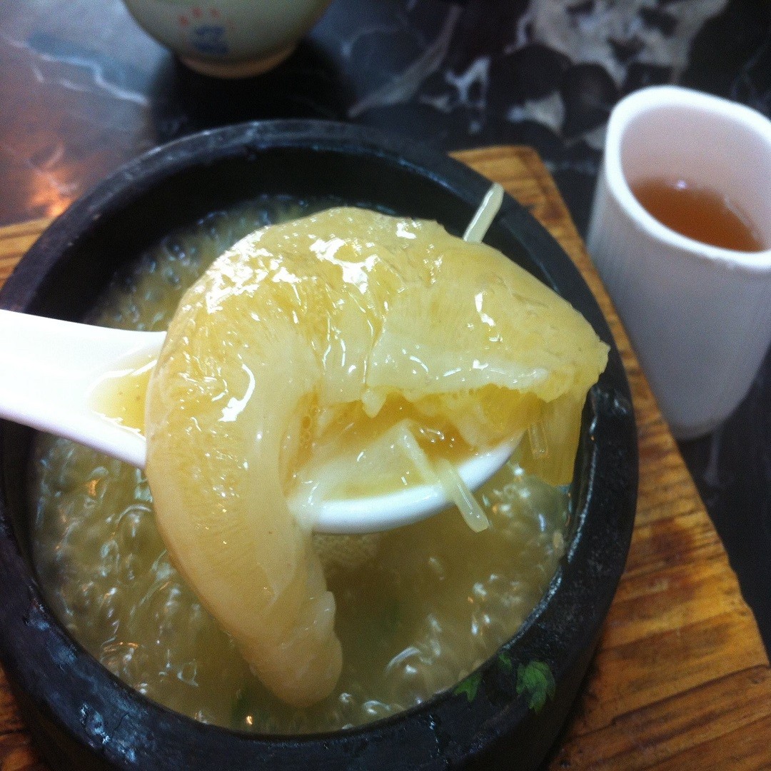 被割掉鱼翅的鲨鱼视频,鲨鱼割掉鱼翅还能活吗视频讲解