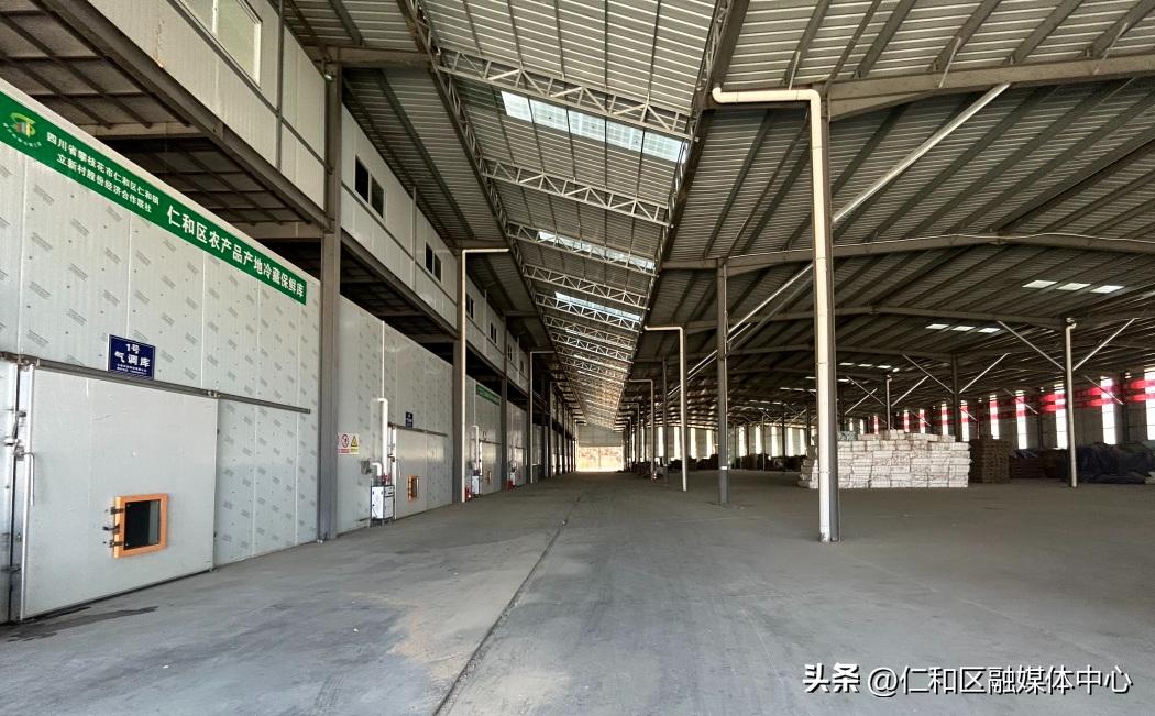 6—8℃可跨越冬夏！仁和“田间冰柜”冻出“三鲜”品质