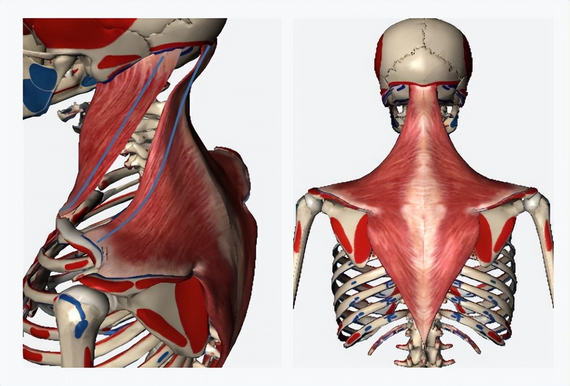 史上最严重的颈椎病,颈椎病到底有多可怕