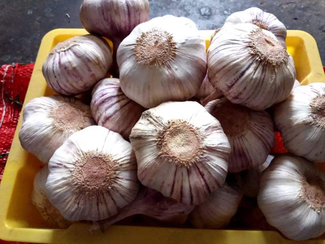 大蒜吃多了对肝有害吗,吃过量大蒜的副作用