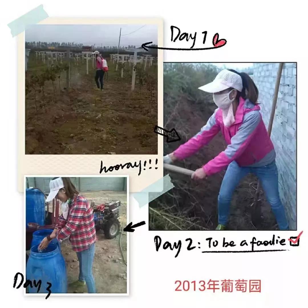 作家无戒写作课程,作家无戒