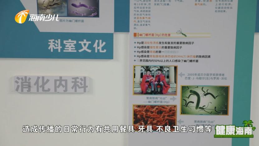 健康海南|你想了解你的胃吗？“中西医”有话说！