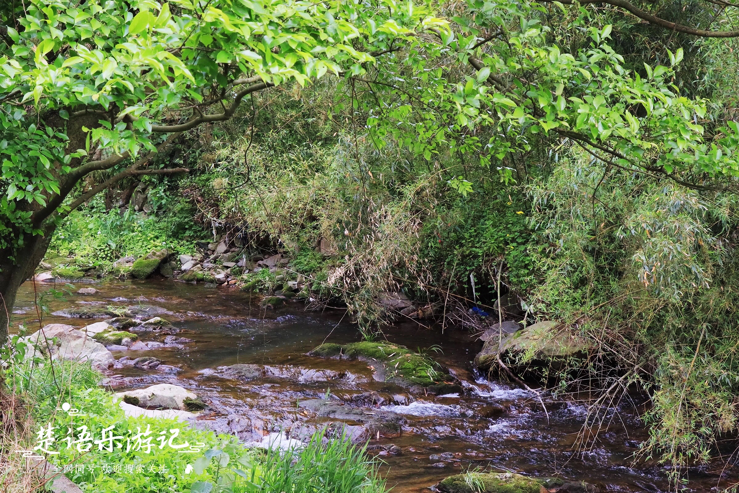 宁波东钱湖古村网红打卡地,宁波东钱湖湿地秘境