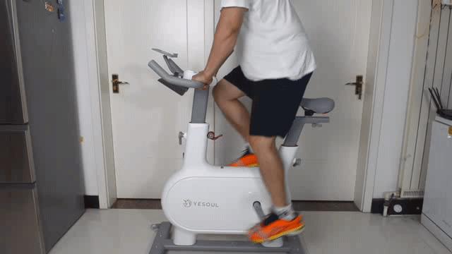 野小兽动感单车m1ev和m2什么区别,高效低冲击燃脂