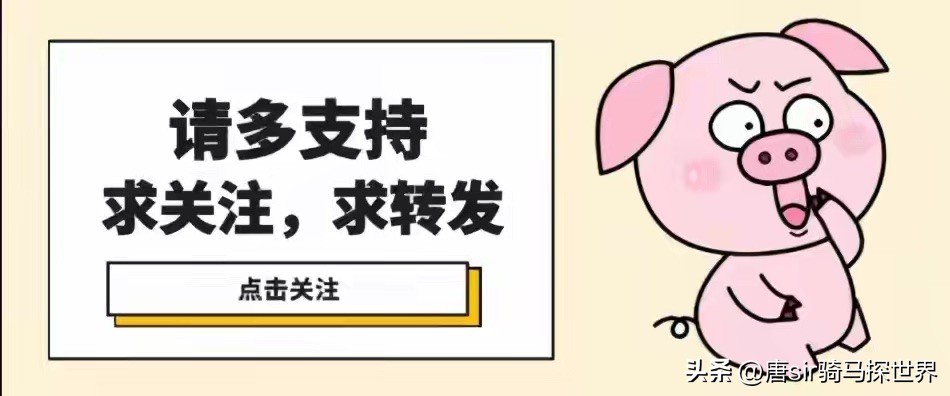 日本全面开放后，大量商家却高兴不起来，原因竟是因为中国游客？