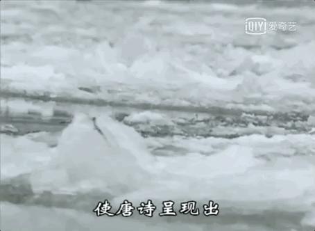 这几部口碑爆棚的宝藏纪录片,国庆孩子必看的8部神级纪录片