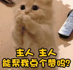 狗狗老了怎么安慰别人,狗狗老了怎么维护视力