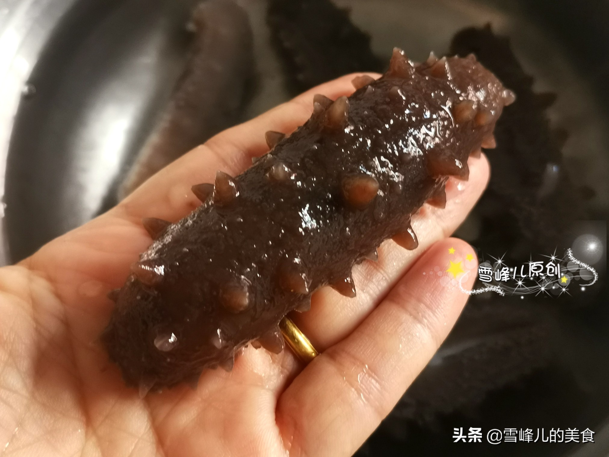 海参泡发的正确方法零基础上手,这才是海参泡发的正确方法