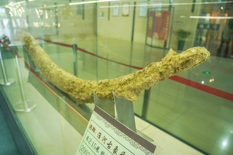 宿州靠谱的景点,宿州市埇桥区小众景点