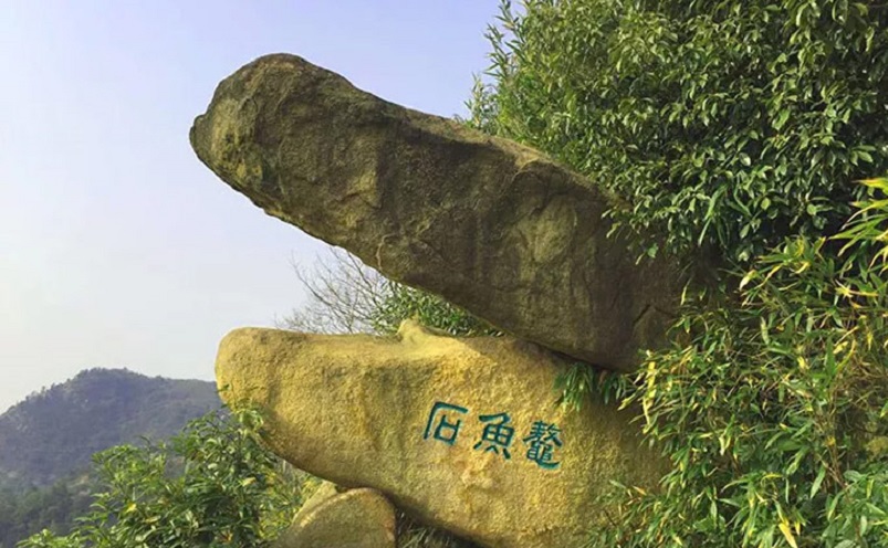 苏州十大必玩景点，去过九处才算玩转苏州