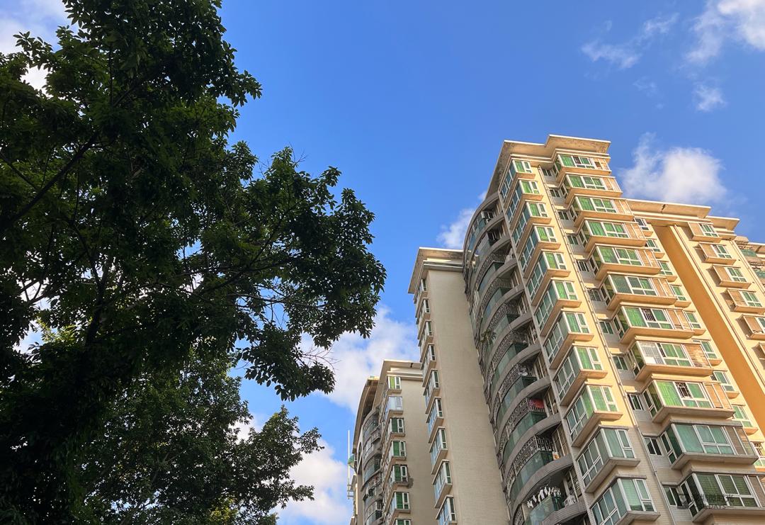 离开互联网大厂,我在深圳假装面试,假装上班,假装看房