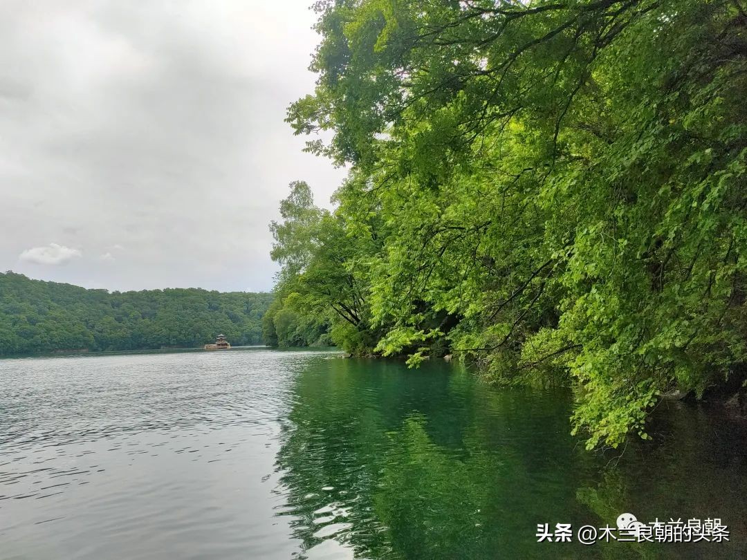 市长热线接线员王小呆