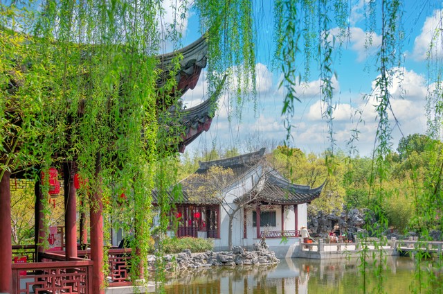 咏柳唐贺知章的古诗,咏柳贺知章教学实录