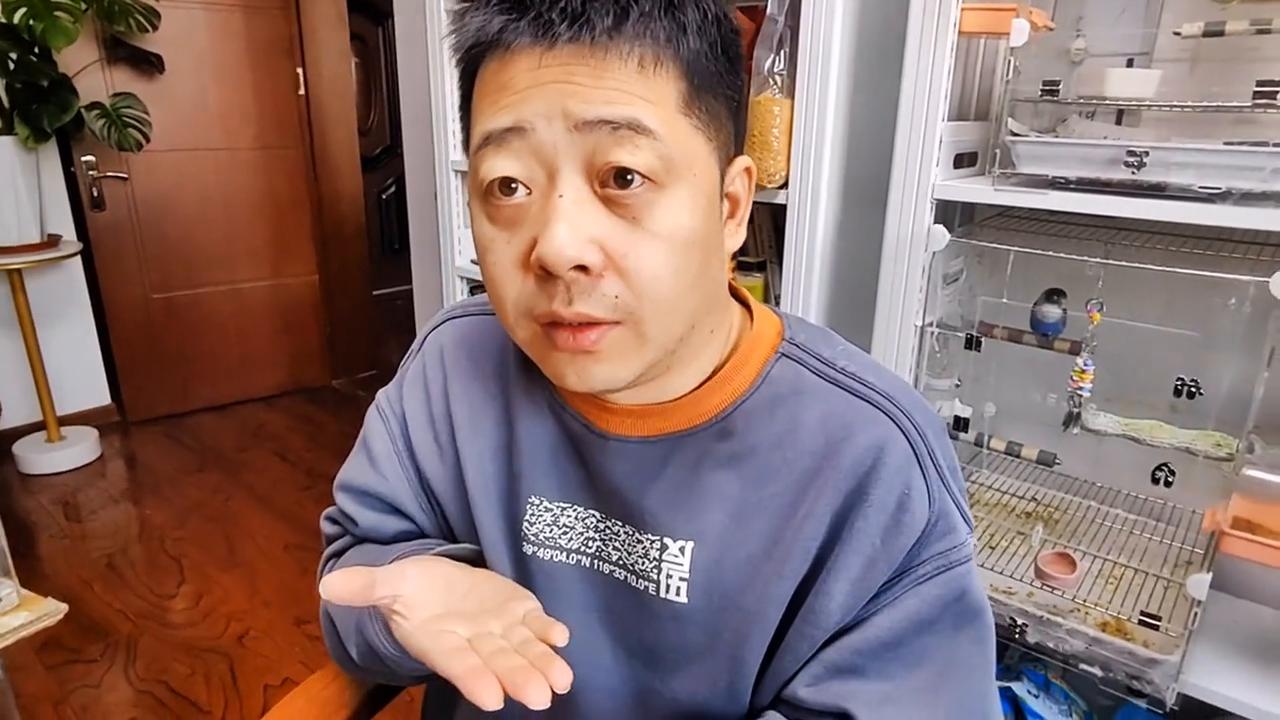 鹦鹉扭伤会死吗,鹦鹉扭伤和翅膀断怎么区分