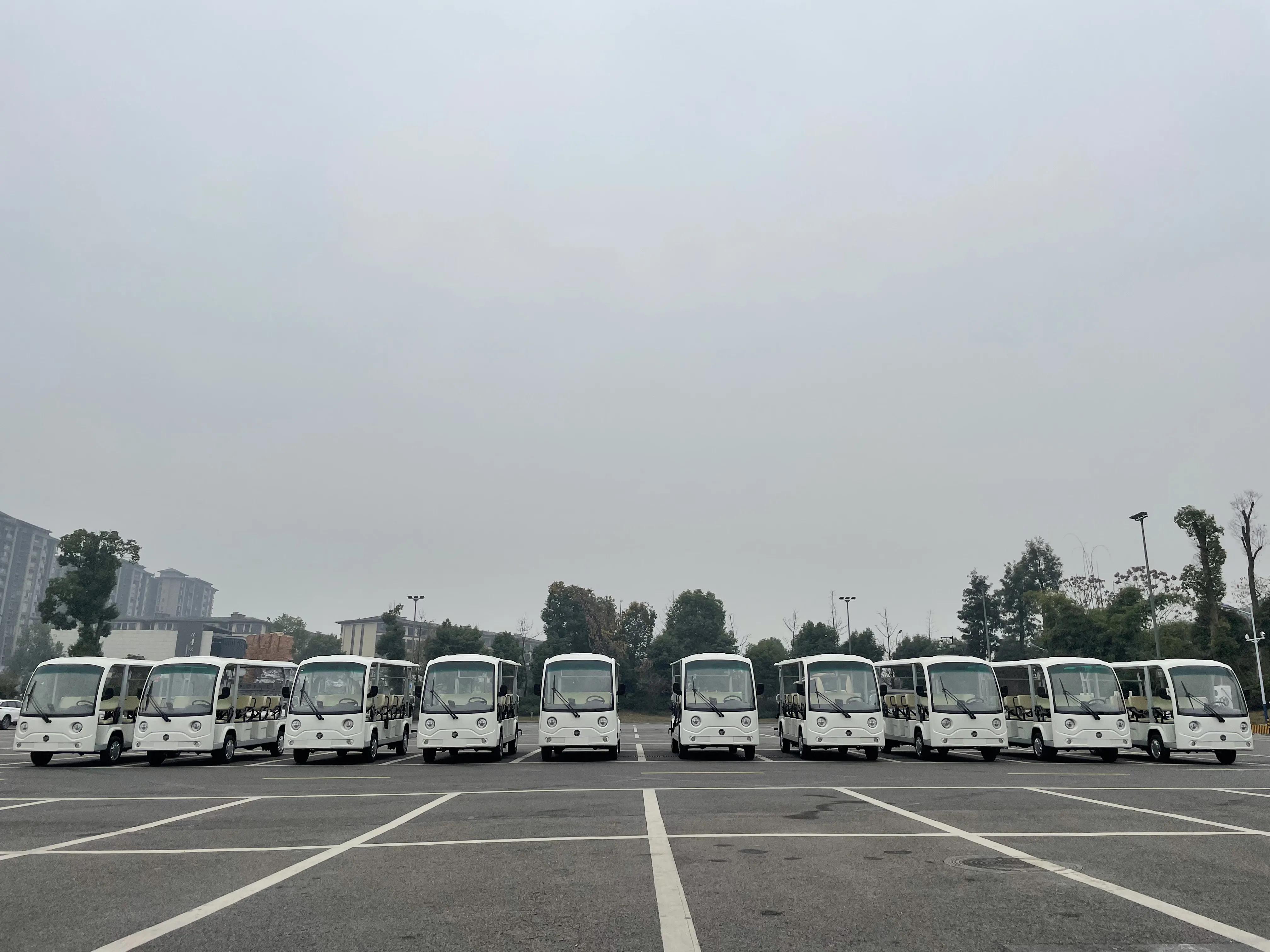 电动观光车的核心技术,纯电动观光车的优点和缺点视频