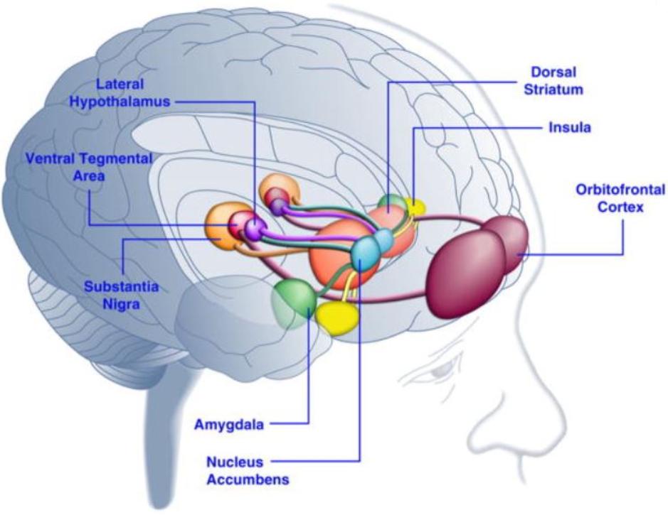 对食品添加剂过度恐惧,对于食品添加剂过量引发的思考