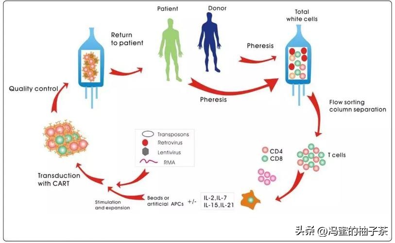 探索人工多酶网络构建代谢的优势:一种新的途径吗？
