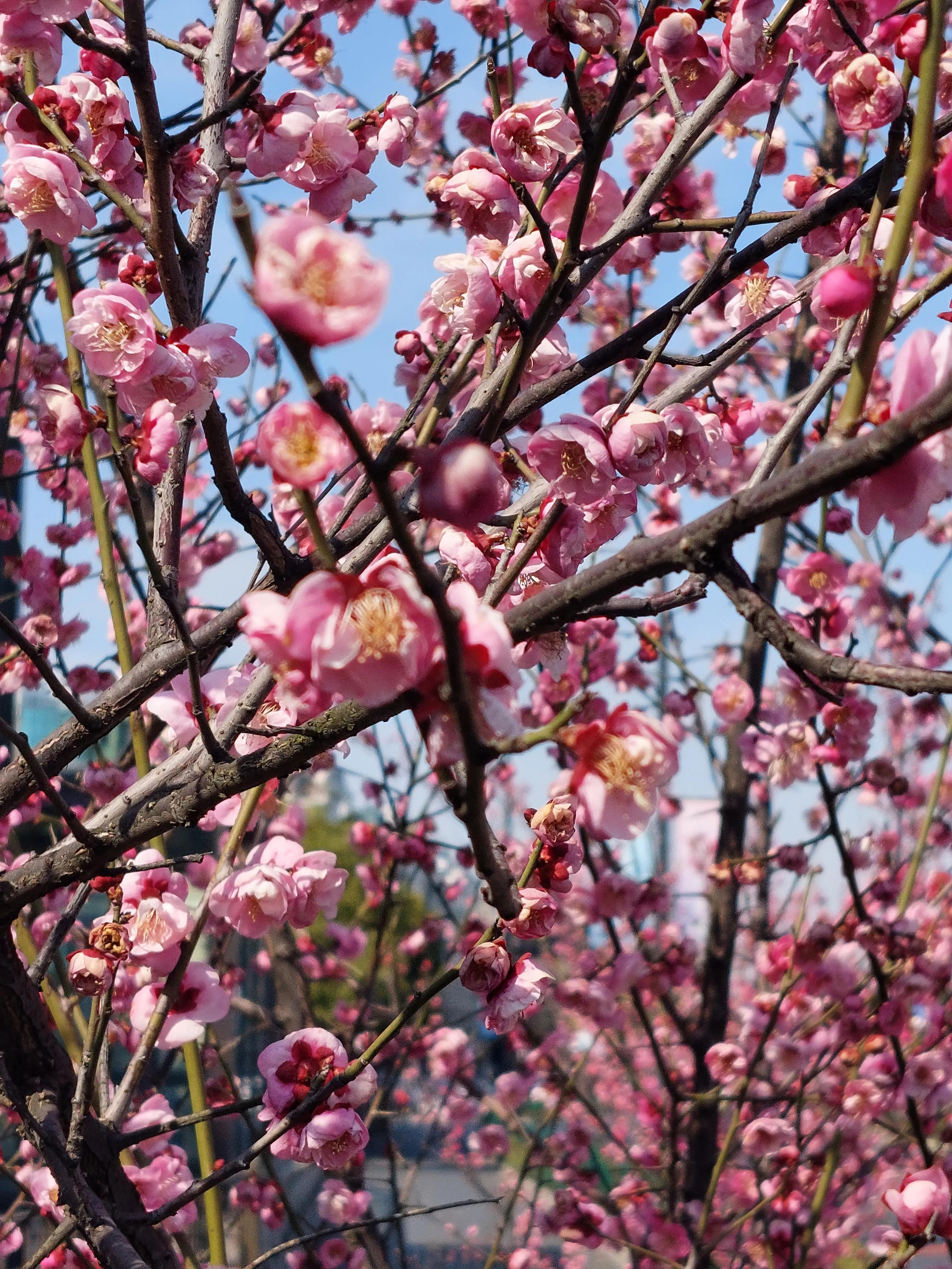 新手炒股要注意什么,炒股注意事项
