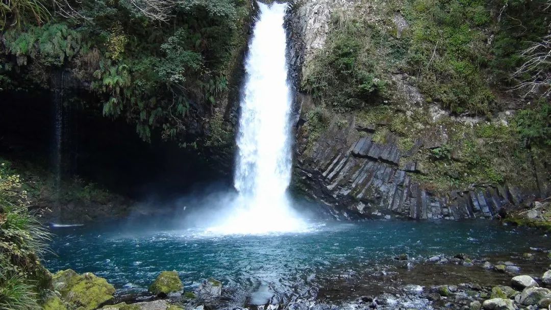 日本伊豆七彩神仙鱼,伊豆在日本哪个县