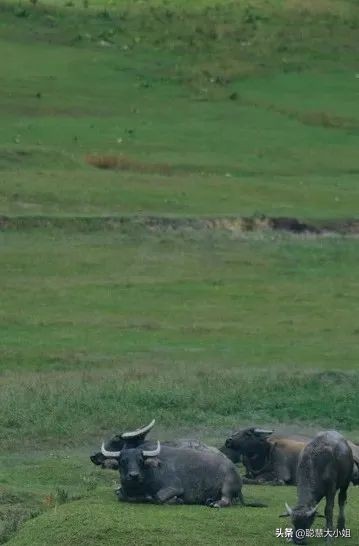 去有风的地方像个没人的地方,去有风的地方到底演的什么