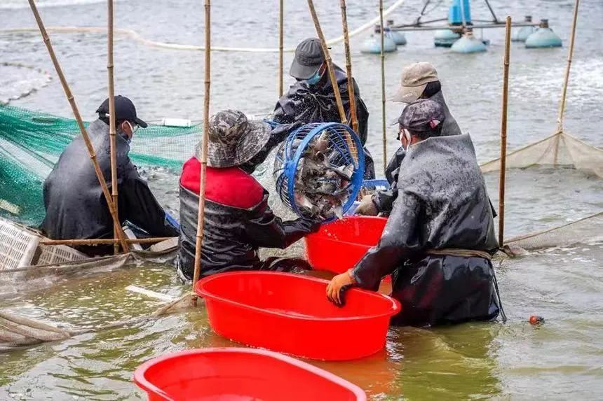 唐山丰南大运河,唐山市丰南运河