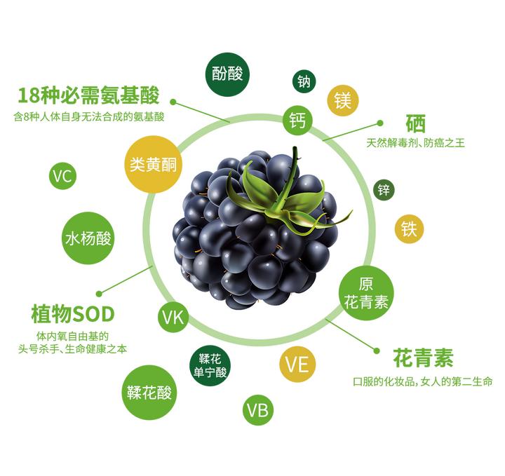 小浆果产业,小浆果助力乡村振兴