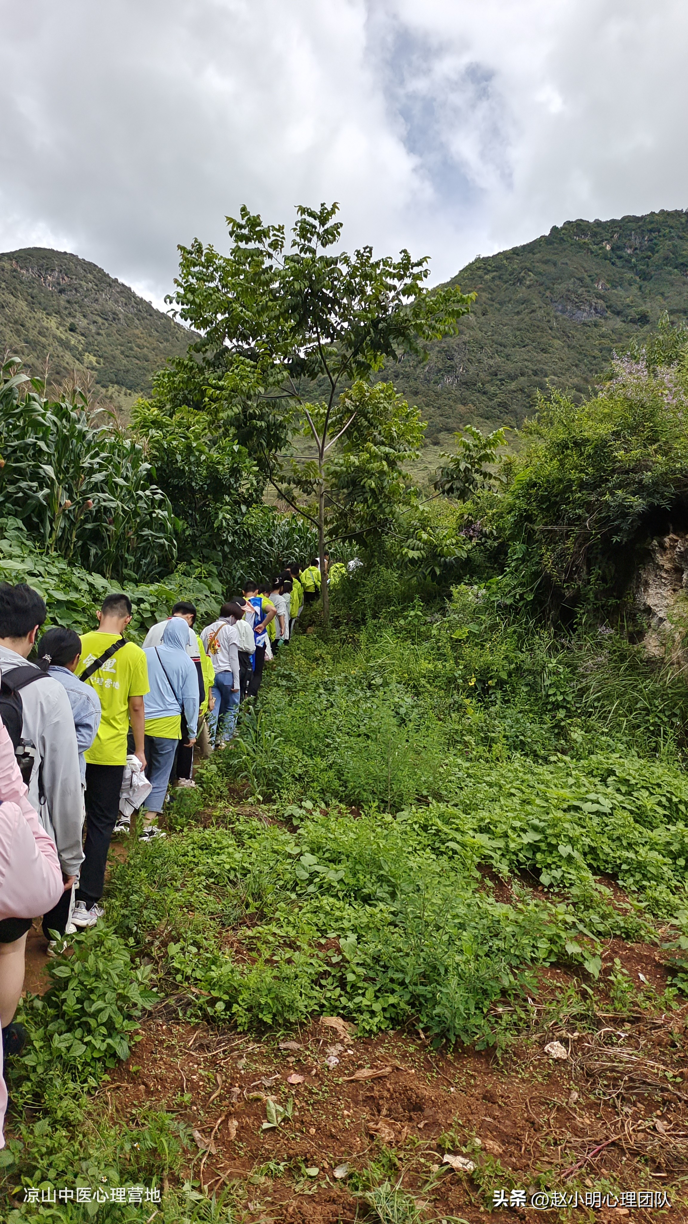 赵小明有效思维,赵小明心理学是哪个流派