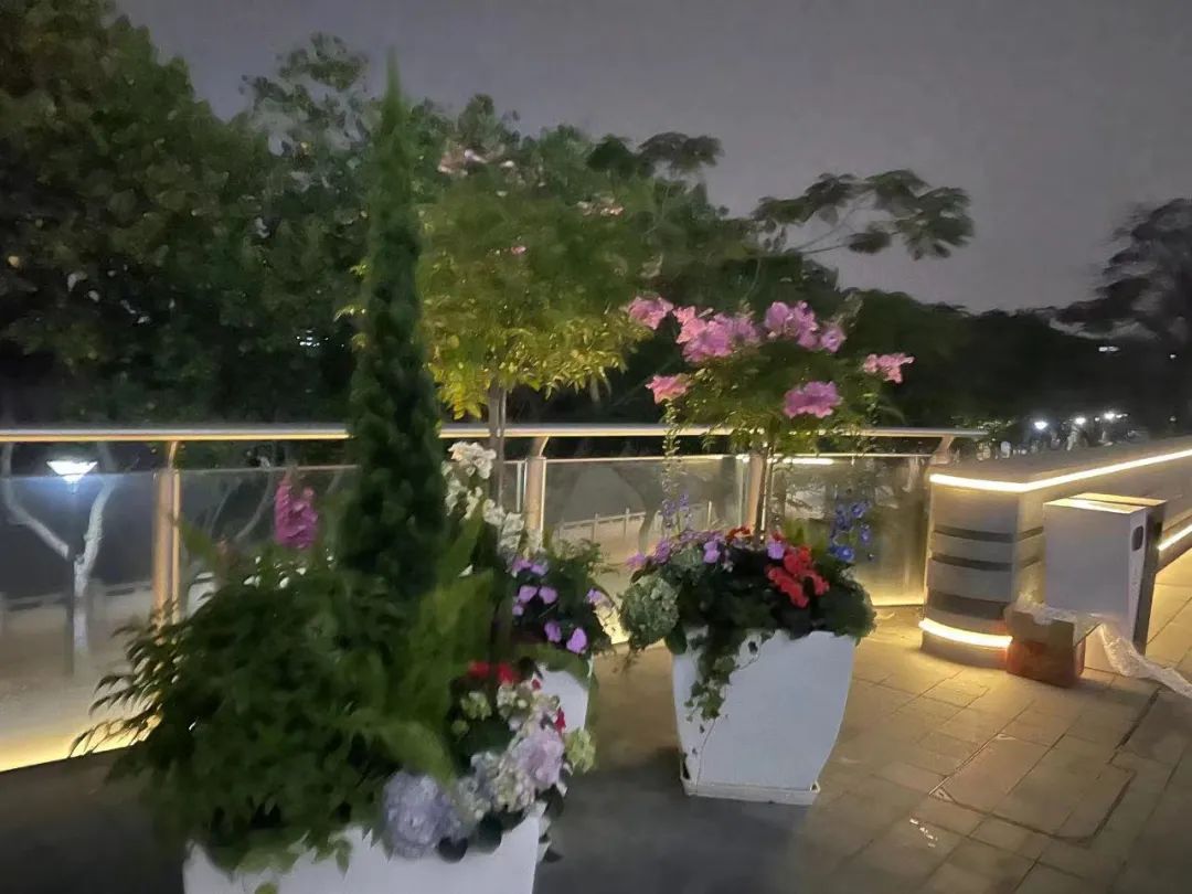 广州历届党代会回顾,广州会议总结