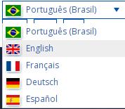 巴西因公签证怎么申请,巴西因公普通护照签证