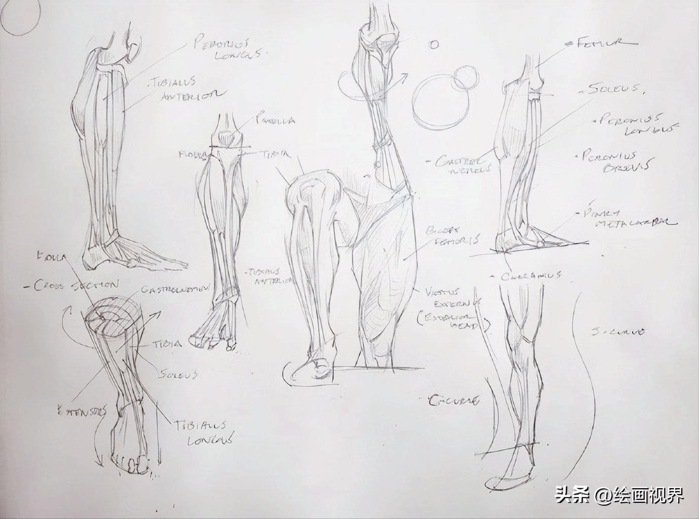 学不会人体画法怎么办,初学者不会画素描