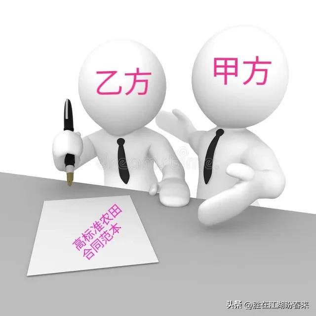 地方一般农田承包合同,企业基本农田承包合同