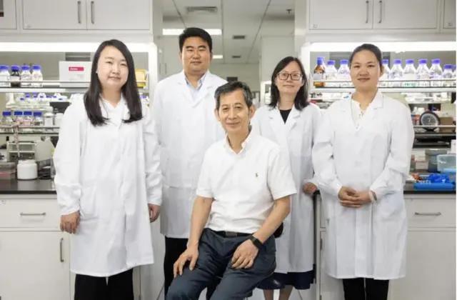 关于人造淀粉,人造淀粉是伪科学