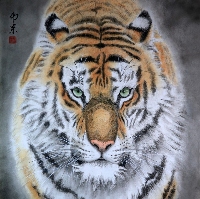 生肖虎和哪个生肖最合得来,属相虎与什么属相相处融洽