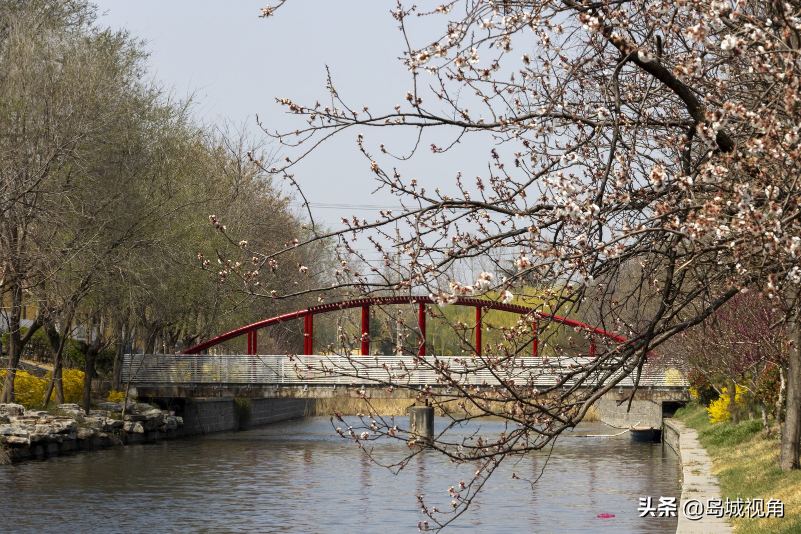 美丽的海滨城市青岛胶州,青岛胶州市美景