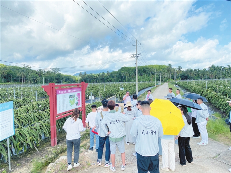 三亚创业人才扶持,三亚田独路青年人才创业基地